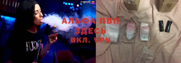 шишки Новокубанск