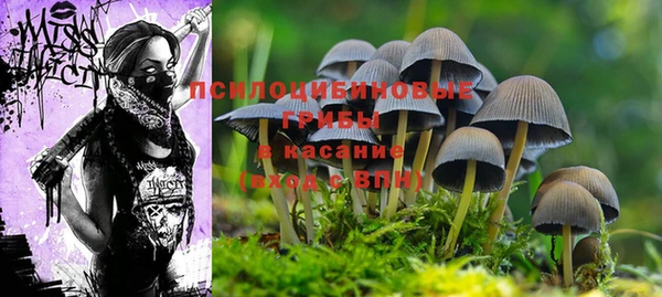 не бодяженный Нефтекумск