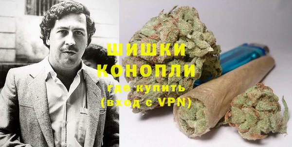 шишки Новокубанск