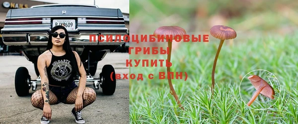 гашиш Новозыбков