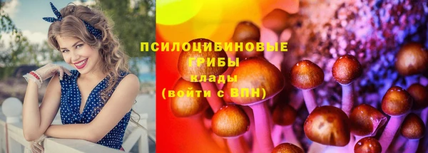 шишки Новокубанск